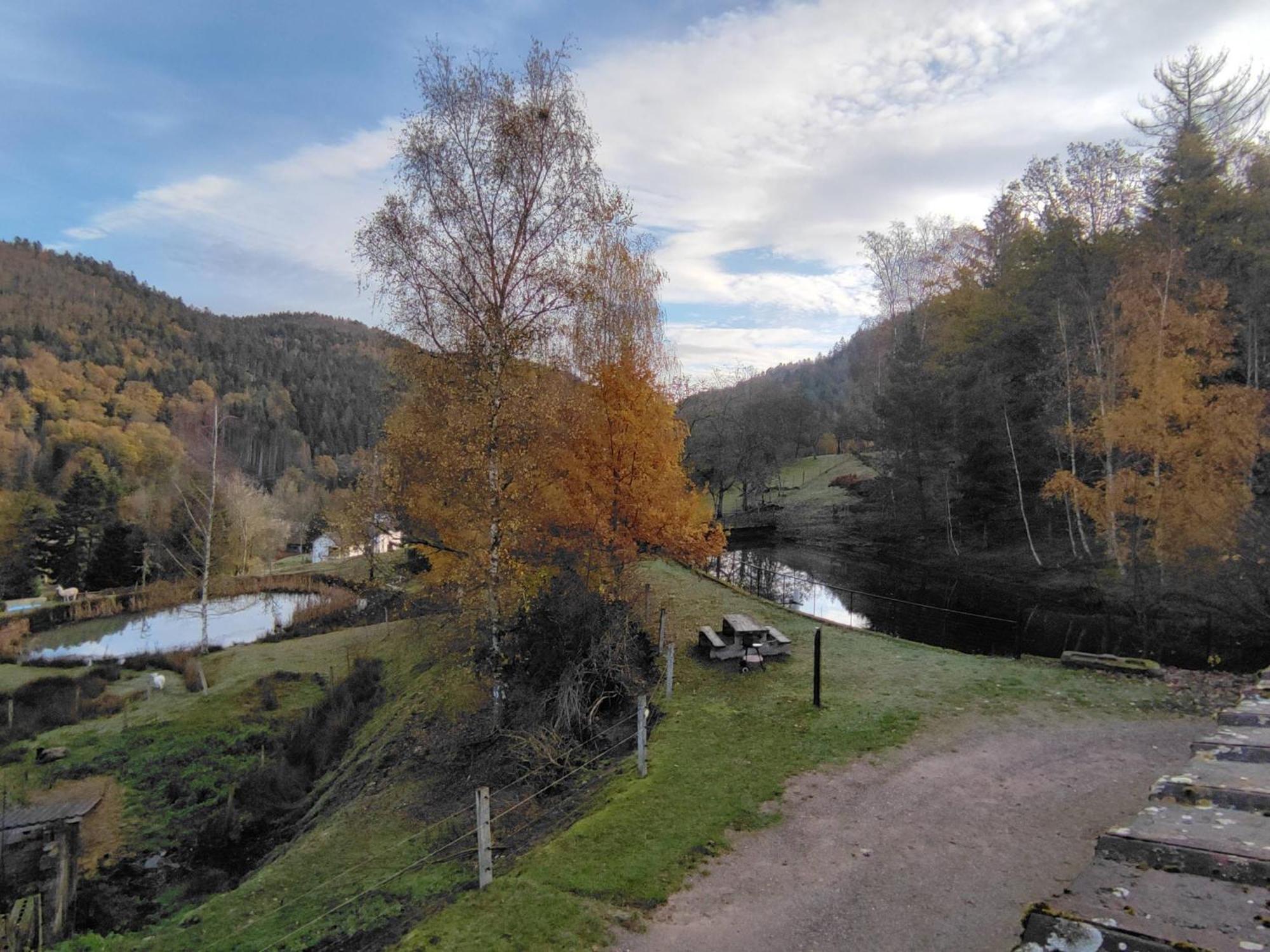 A L'Oree Du Bois Dommartin-les-Remiremont Bilik gambar