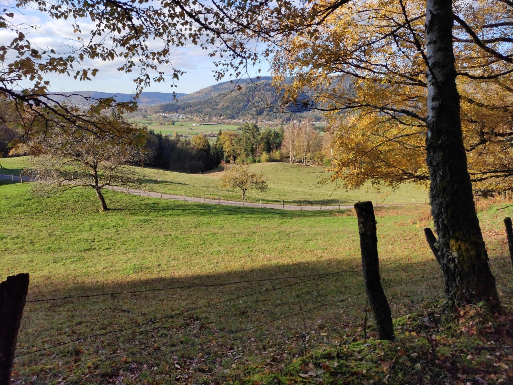 A L'Oree Du Bois Dommartin-les-Remiremont Bilik gambar
