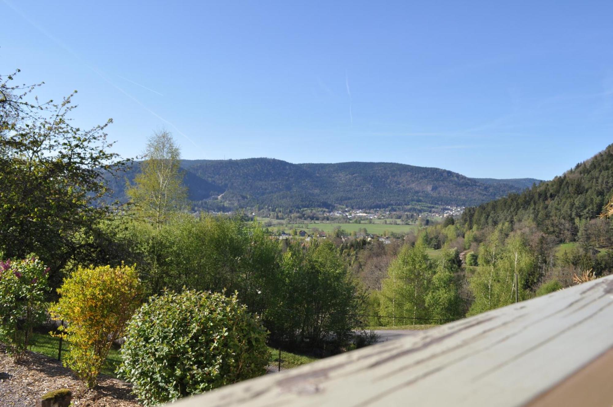 A L'Oree Du Bois Dommartin-les-Remiremont Bilik gambar