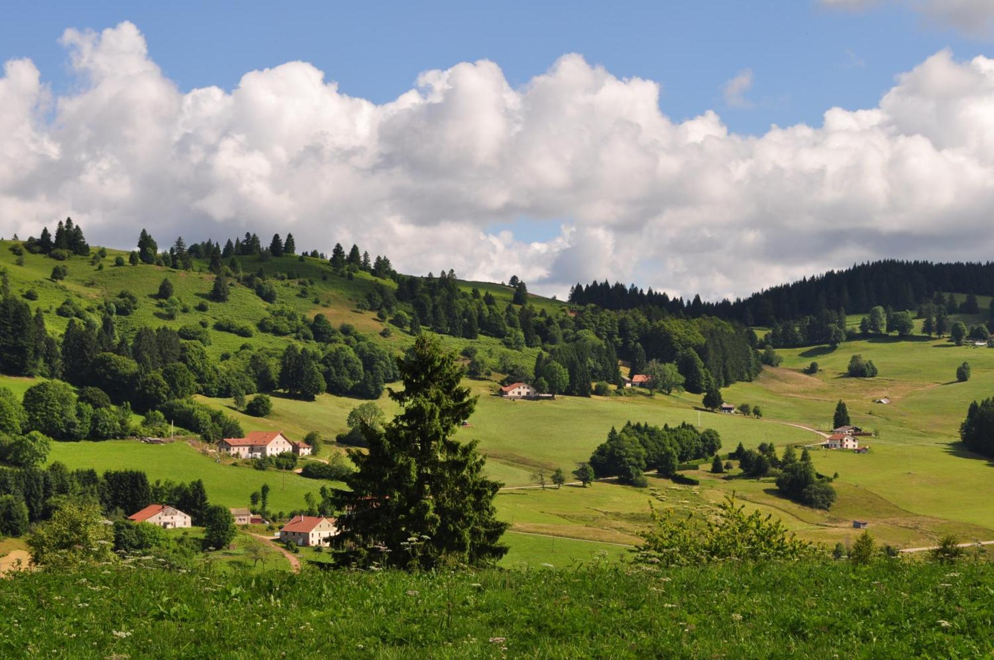 A L'Oree Du Bois Dommartin-les-Remiremont Bilik gambar